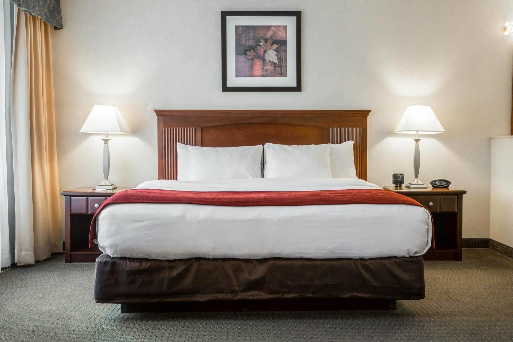 Comfort Suites South Burlington Near University Bagian luar foto